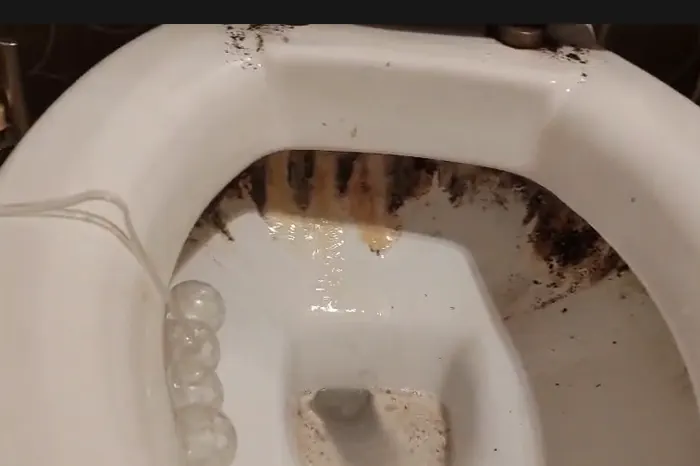 WC školjka s kamencem prije čišćenja